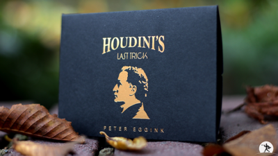 Houdini's Last Trick - immagine 2